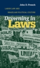 Image for Drowning in Laws: Labor Law and Brazilian Political Culture