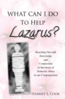 Image for WHAT CAN I DO TO HELP LAZARUS?: Reaching Out with Knowledge and Compassion to Survivors of Domestic Abuse in our Congregations