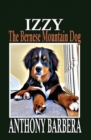 Image for Izzy the Bernese Mountain Dog