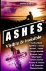 Image for Ashes : Visible &amp; Invisible