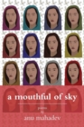 Image for A Mouthful of Sky