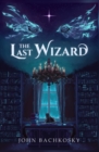 Image for The Last Wizard