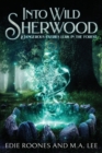 Image for Into Wild Sherwood : Dangerous Faeries lurk in the forest.