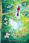 Image for Spring in the Forest : A Seasons in the Forest Book