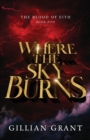 Image for Where the Sky Burns