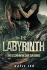 Image for The Labyrinth : The Second in the Cave Sun Series