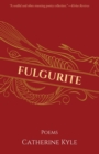 Image for Fulgurite