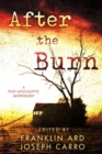 Image for After the Burn