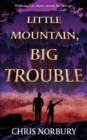 Image for Little Mountain, Big Trouble