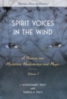 Image for Spirit Voices in the Wind: A Venture into Mysticism, Mediumships, and Magic