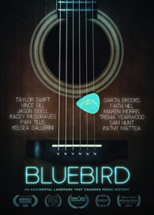 Image for Bluebird - An Accidental Landmark That Changed History