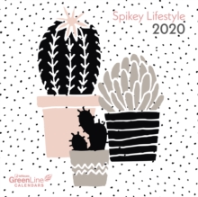 Image for SPIKEY LIFESTYLE GREENLINE 30 X 30 CM GR