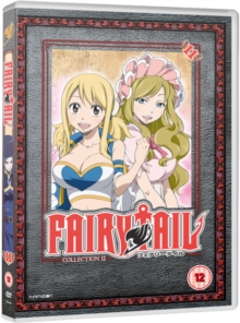 Image for Fairy Tail: Collection 11