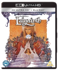 Image for Labyrinth