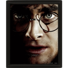 Harry Potter (Harry Vs Voldemort) – Framed