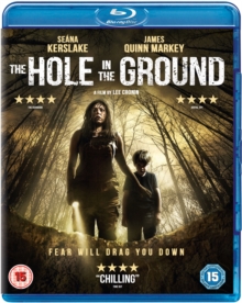 Image for The Hole in the Ground