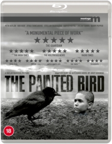 Image for The Painted Bird