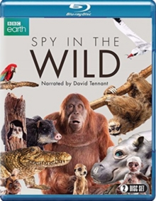 Image for Spy in the Wild