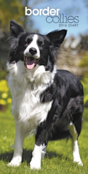 Image for BORDER COLLIES SLIM D 2016 DIARY