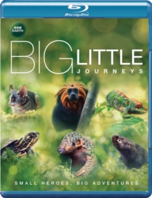 Image for Big Little Journeys