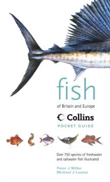Image for Fish of Britain & Europe