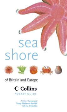 Image for Sea Shore of Britain and Europe