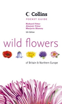 Image for Wild Flowers of Britain and Northern Europe
