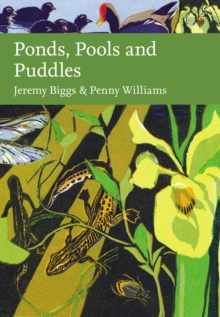 Image for Ponds, pools and puddles