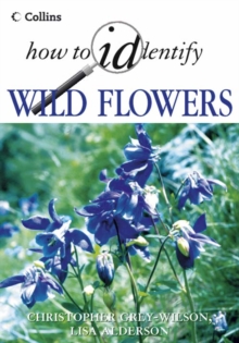 Image for Wild Flowers