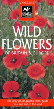 Image for Wild flowers  : a photographic guide to the flowers of Britain and Northern Europe