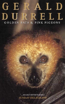 Image for Golden bats and pink pigeons