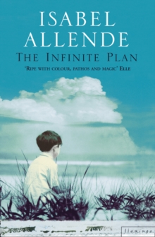Image for The infinite plan