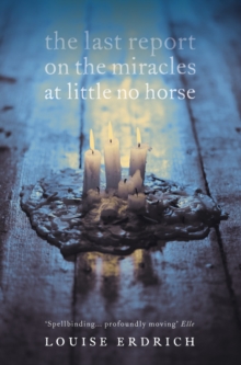 Image for The last report on the miracles at Little No Horse