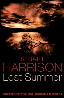 Image for Lost summer