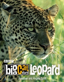 Image for Big Cat Diary: Leopard