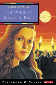 Image for The Witch of Blackbird Pond