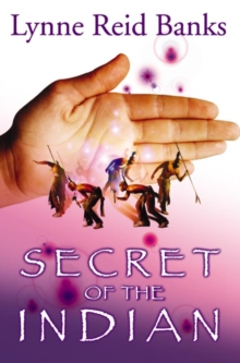 Image for Secret of the Indian