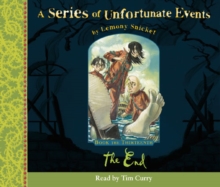 Image for Book the Thirteenth - The End