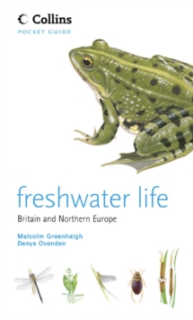 Image for Freshwater life  : Britain and northern Europe
