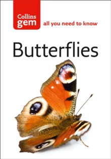 Image for Butterflies