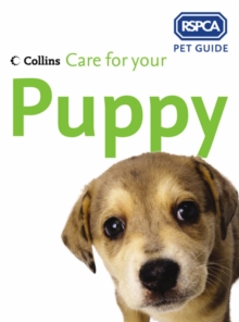 Image for Care for your puppy