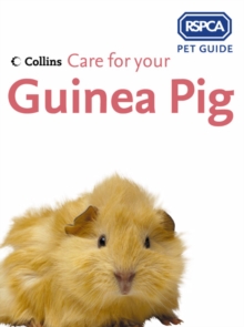 Image for Care for your guinea pig