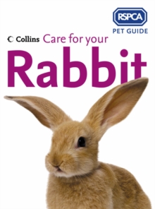 Image for Care for your rabbit