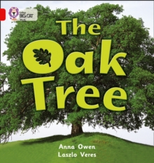 Image for The Oak Tree : Band 02b/Red B