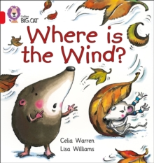 Image for Where is the Wind? : Band 02b/Red B