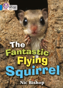 Image for The Fantastic Flying Squirrel