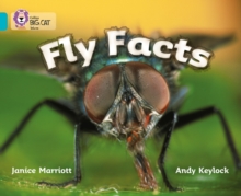 Image for Fly Facts