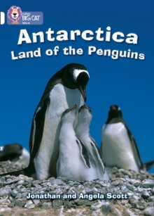 Image for Antarctica  : land of penguins