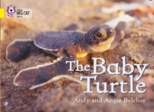 Image for The Baby Turtle : Band 03/Yellow