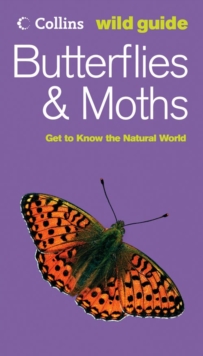 Image for Butterflies & moths